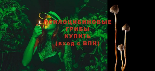 ALPHA-PVP Алексин