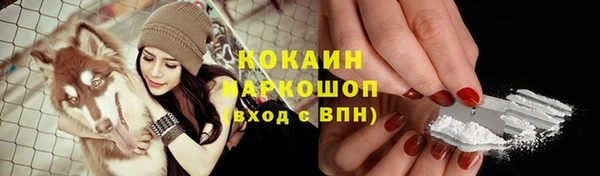 спайс Алзамай