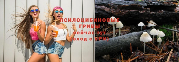 спайс Алзамай