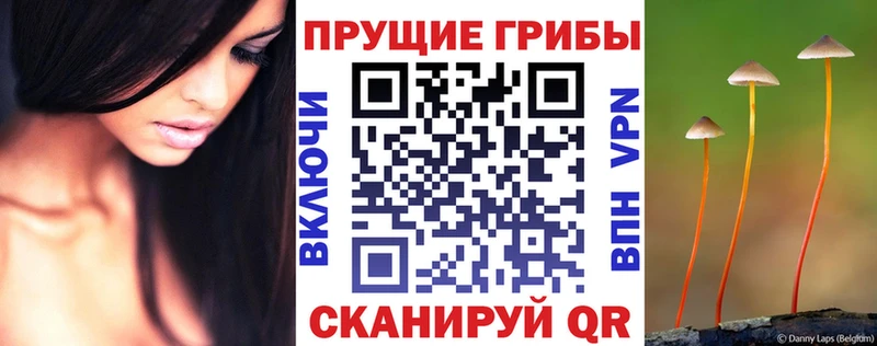 наркошоп  Кореновск  Галлюциногенные грибы Psilocybe 