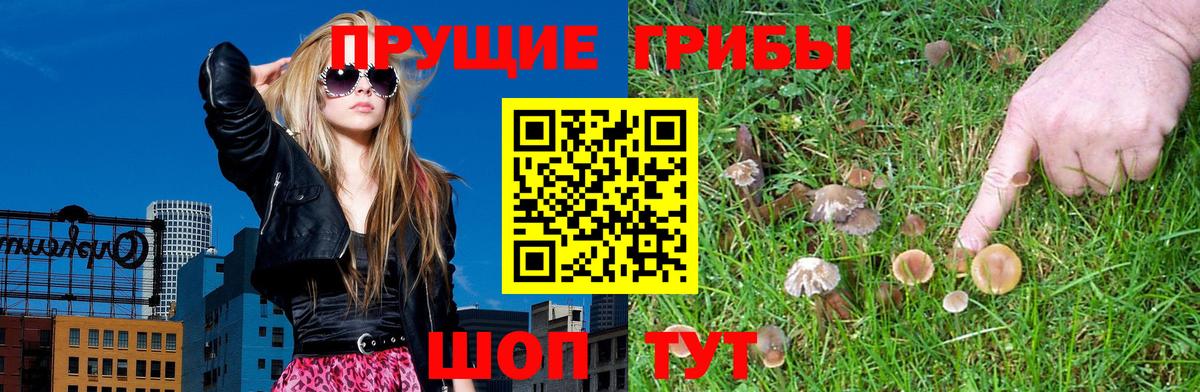 Псилоцибиновые грибы мухоморы  Псилоцибиновые грибы прущие грибы  купить наркоту  Кореновск  Вход с VPN 