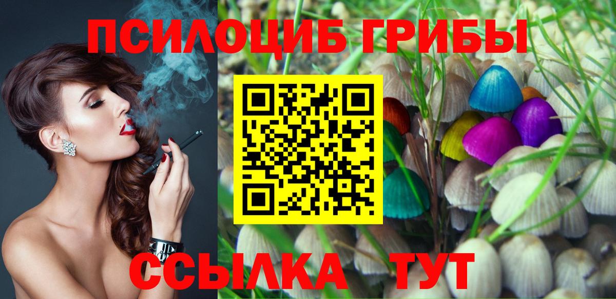 Галлюциногенные грибы Psilocybe Кореновск